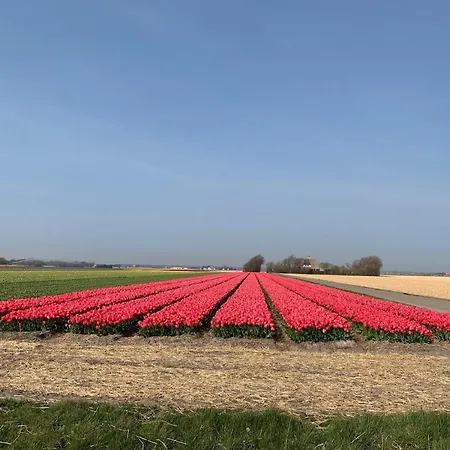 Strandappartement Duynblick *